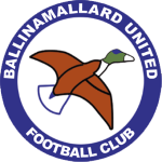 Ballinamallard United
