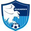 Erzurumspor