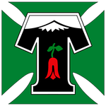 Temuco